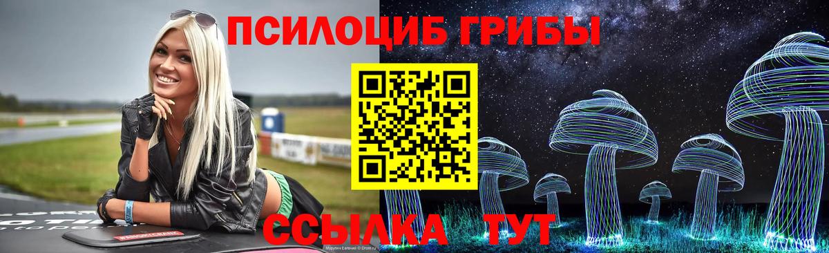 Галлюциногенные грибы Magic Shrooms  Вход с VPN  Псилоцибиновые грибы Psilocybe  Ноябрьск 